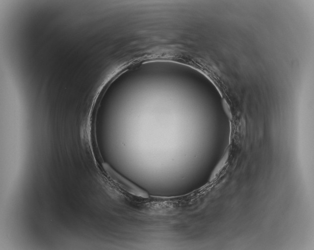 X0000115490100200911131243