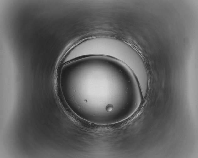 X0000115490101200911131243
