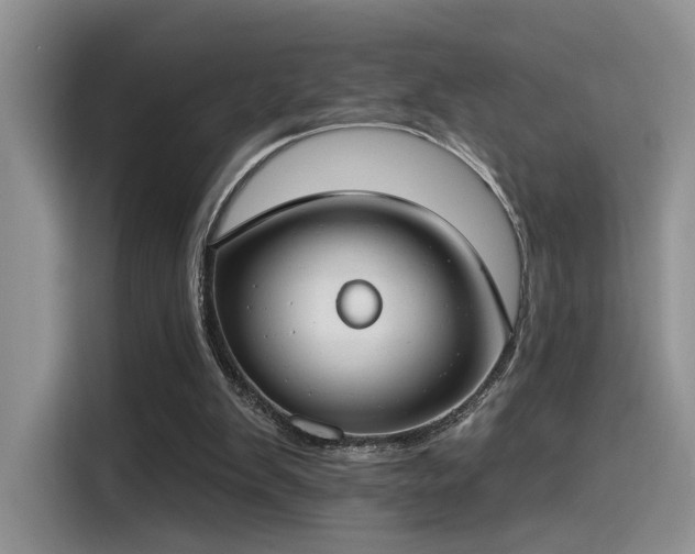 X0000115490103200911131243