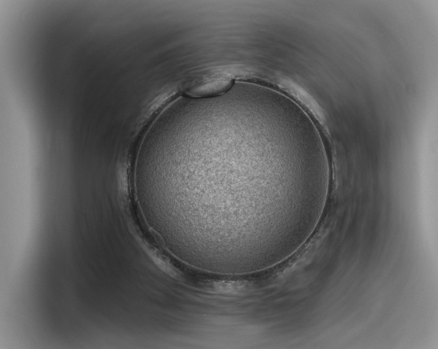 X0000115490105200911131243