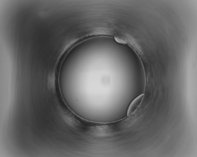 X0000115490108200911131243