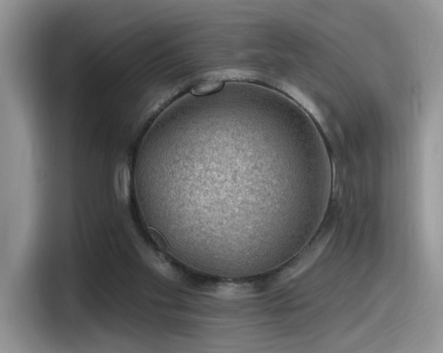 X0000115490109200911131243