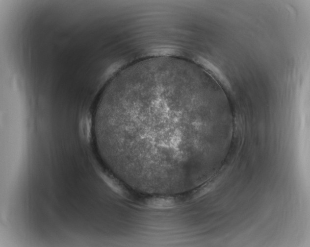 X0000115490110200911131243