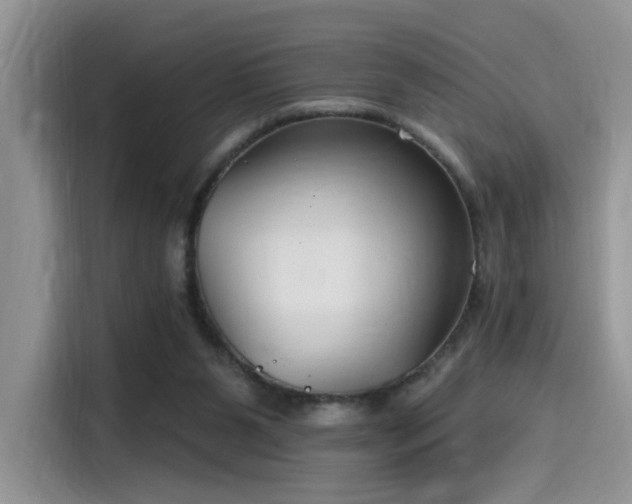 X0000115490111200911131243