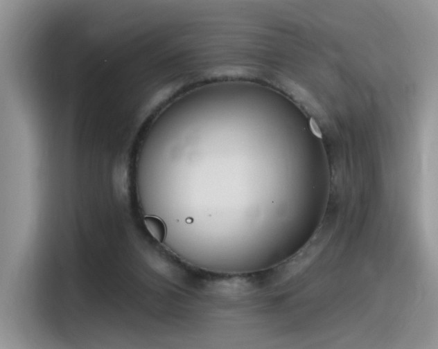 X0000115490112200911131243