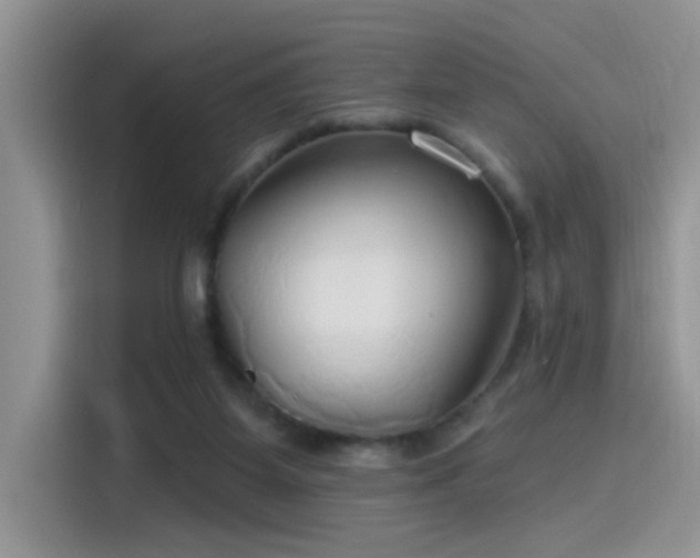 X0000115490115200911131243