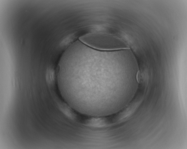 X0000115490117200911131243
