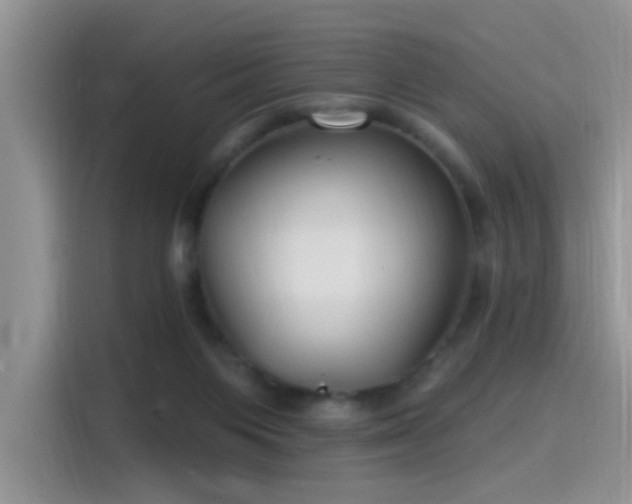 X0000115490119200911131243