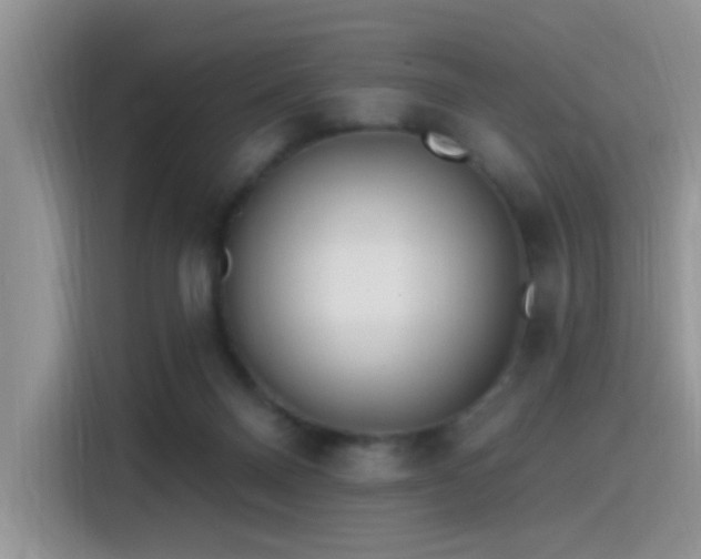 X0000115490120200911131243