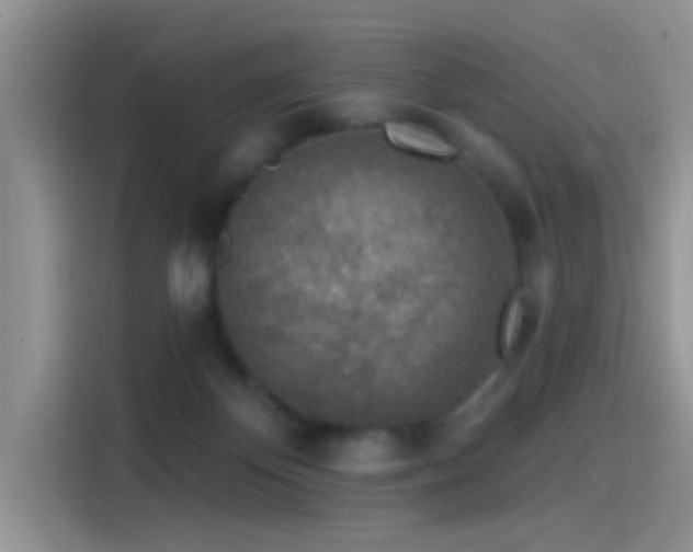 X0000115490124200911131243