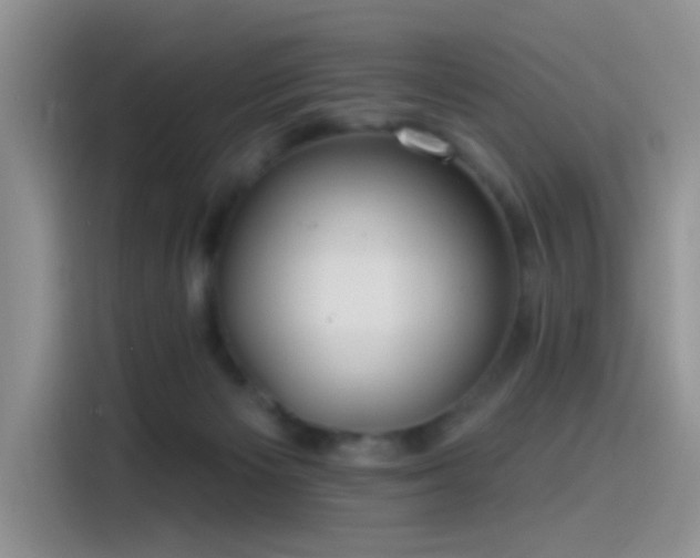 X0000115490125200911131243