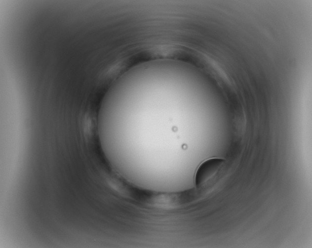 X0000115490126200911131243