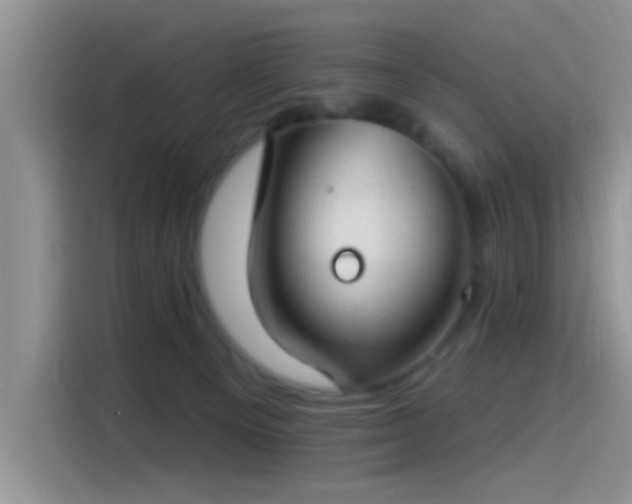X0000115490129200911131243