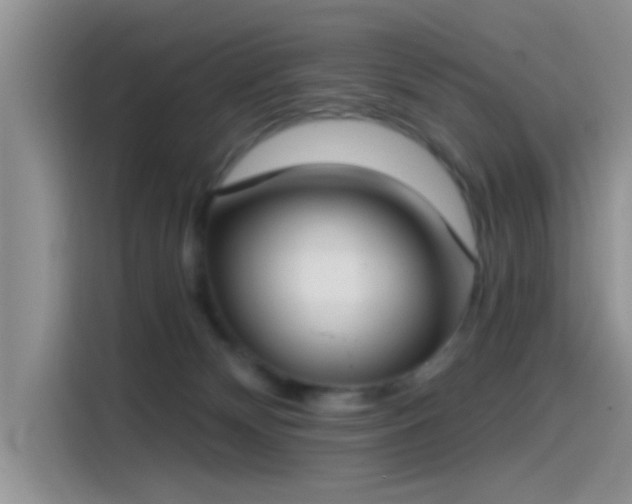 X0000115490132200911131243