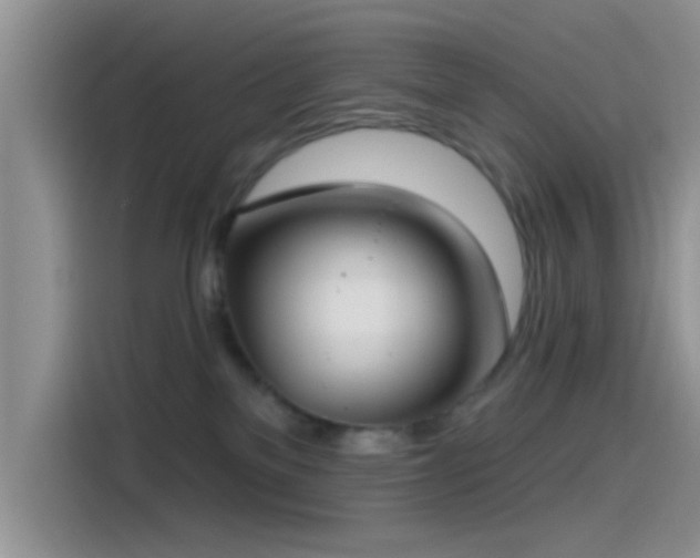 X0000115490137200911131243