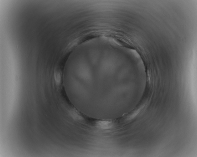 X0000115490139200911131243