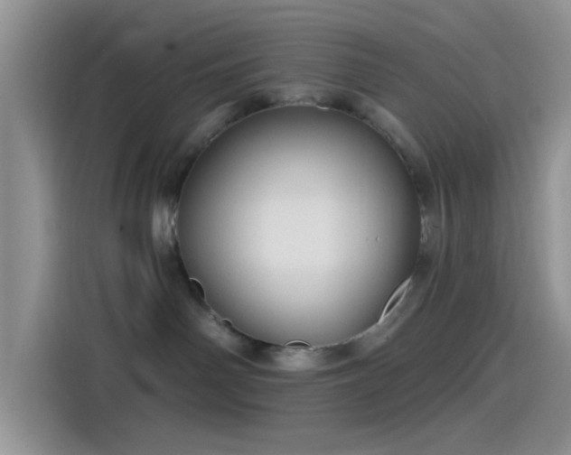 X0000115490142200911131243