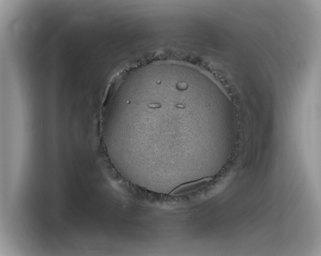 X0000115490144200911131243