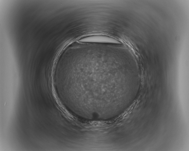 X0000115490145200911131242