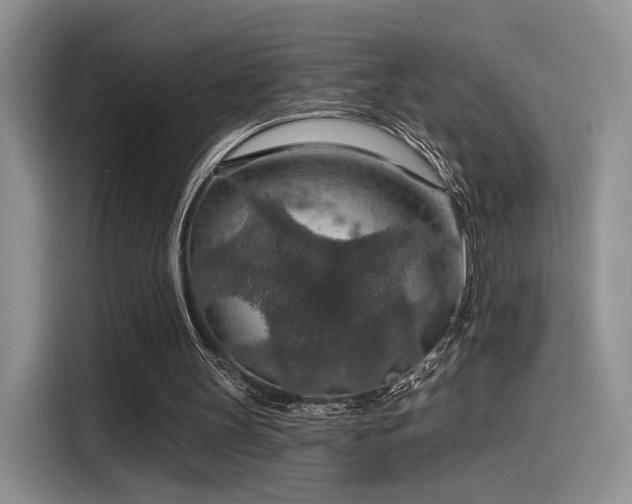 X0000115490147200911131242