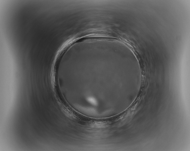X0000115490149200911131242
