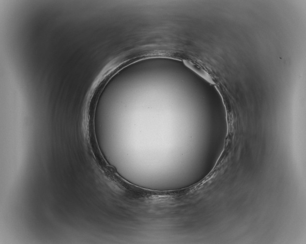 X0000115490150200911131242