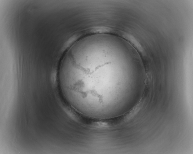 X0000115490159200911131242