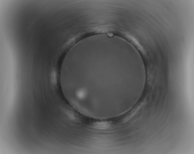 X0000115490161200911131242