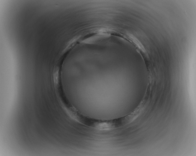 X0000115490163200911131242