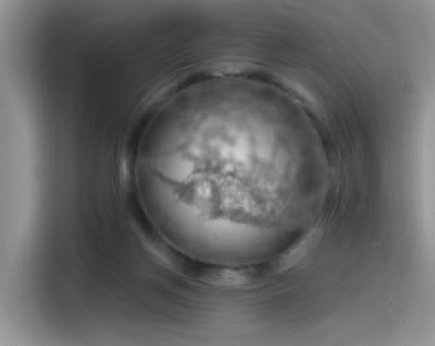 X0000115490166200911131242