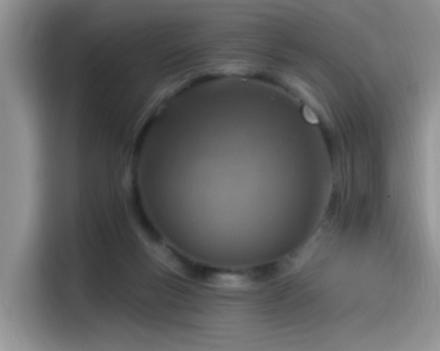 X0000115490167200911131242