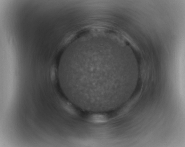 X0000115490169200911131242