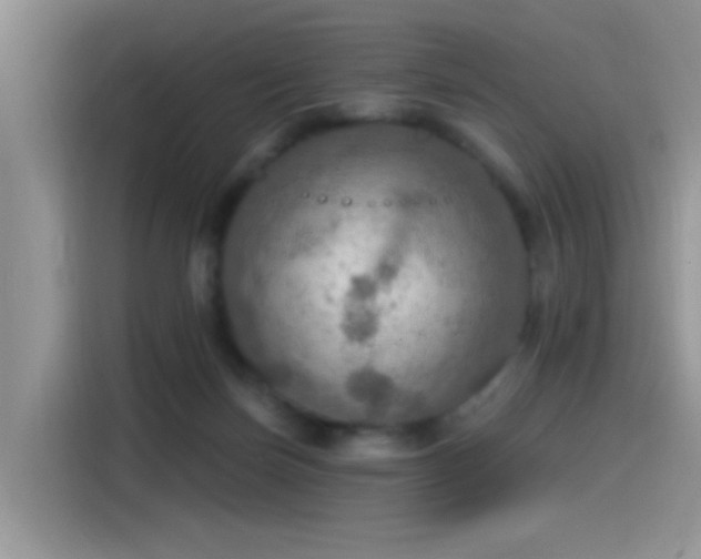 X0000115490171200911131243