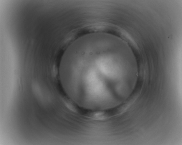 X0000115490173200911131243