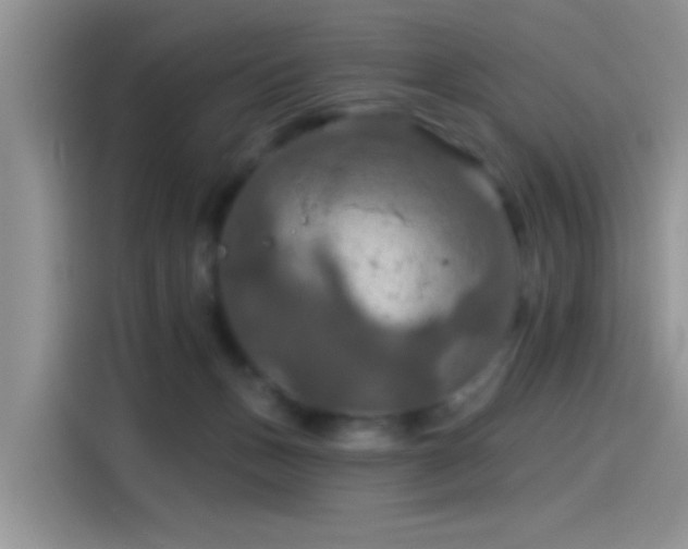 X0000115490175200911131243