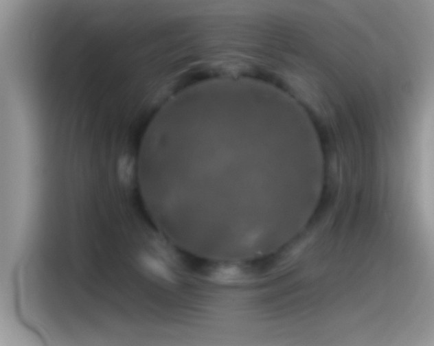 X0000115490177200911131243
