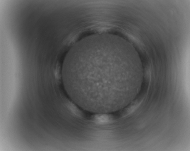 X0000115490181200911131243