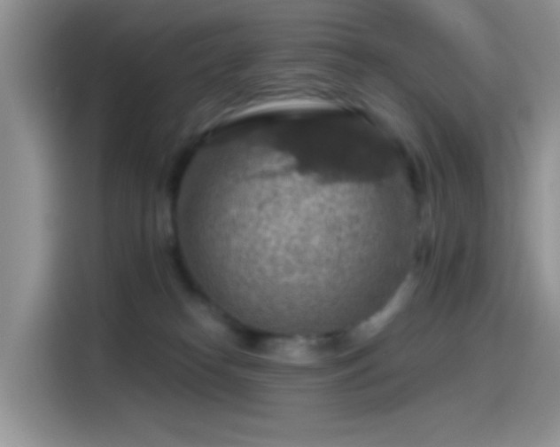 X0000115490182200911131243