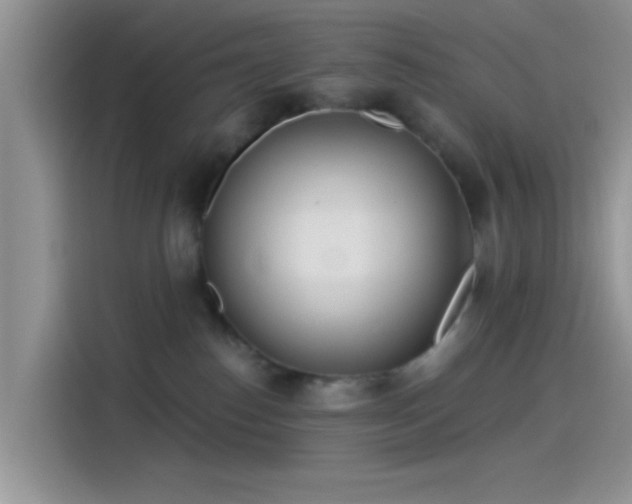 X0000115490186200911131243