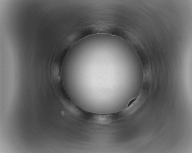 X0000115490187200911131243