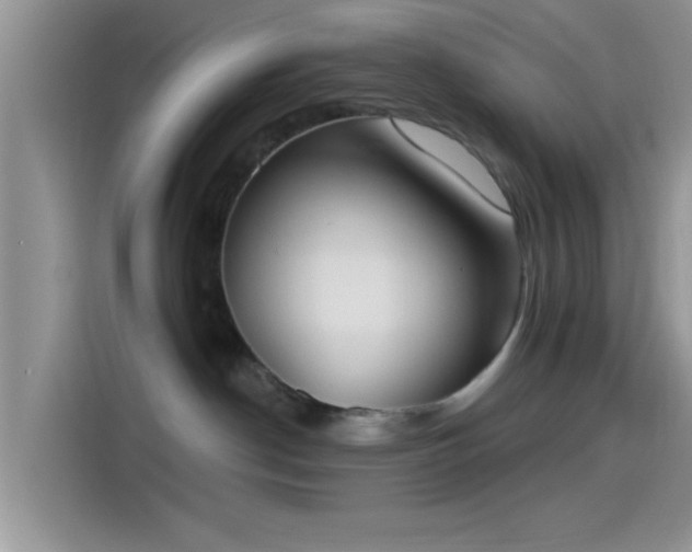 X0000115490190200911131243