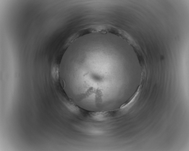 X0000115490191200911131243