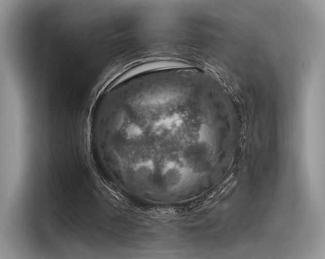 X0000115490194200911131242