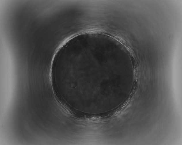 X0000115490196200911131242