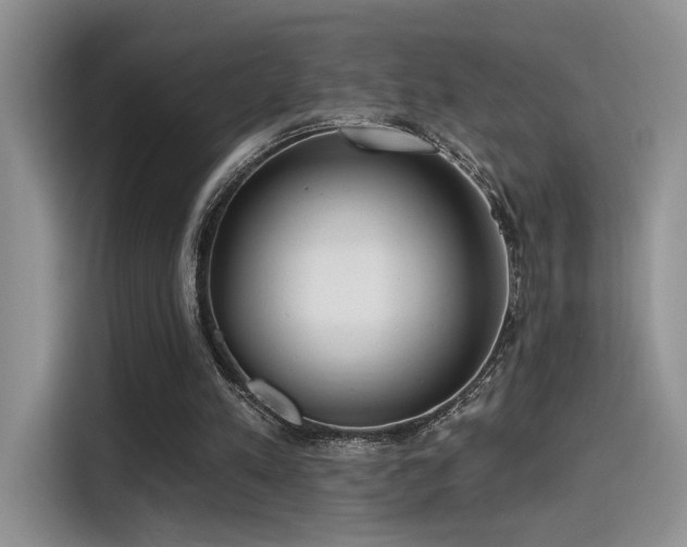 X0000115490197200911131242