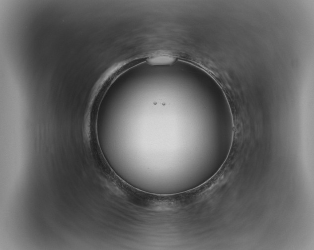 X0000115490200200911131242