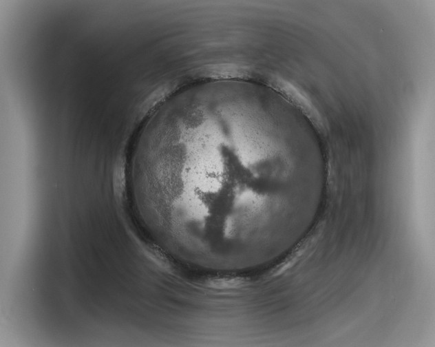 X0000115490202200911131242