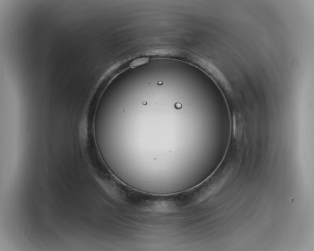 X0000115490204200911131242
