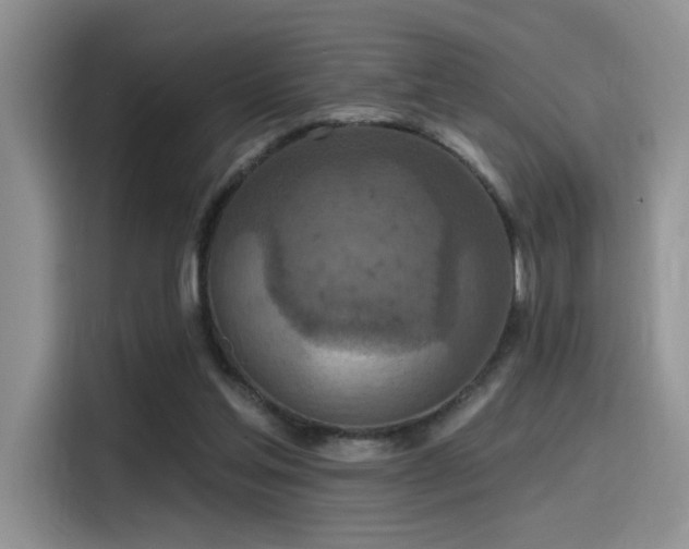 X0000115490205200911131242