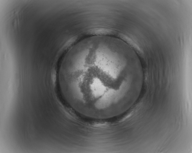X0000115490206200911131242